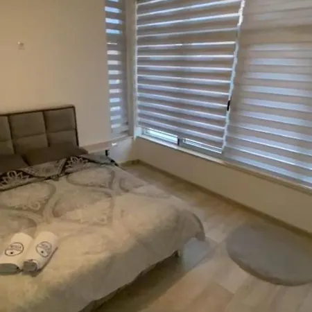 Koca Apartment *